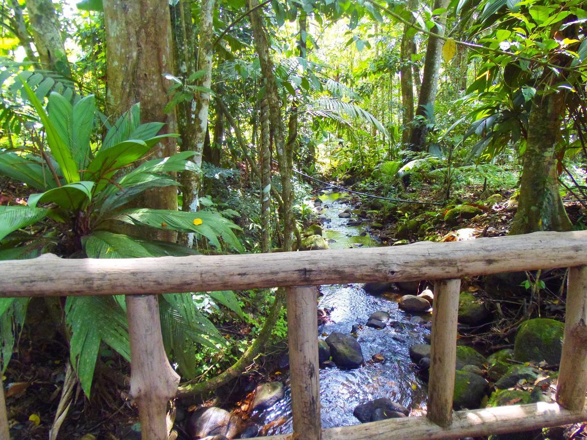 Hotel Valle Azul San Gerardo Bilik gambar
