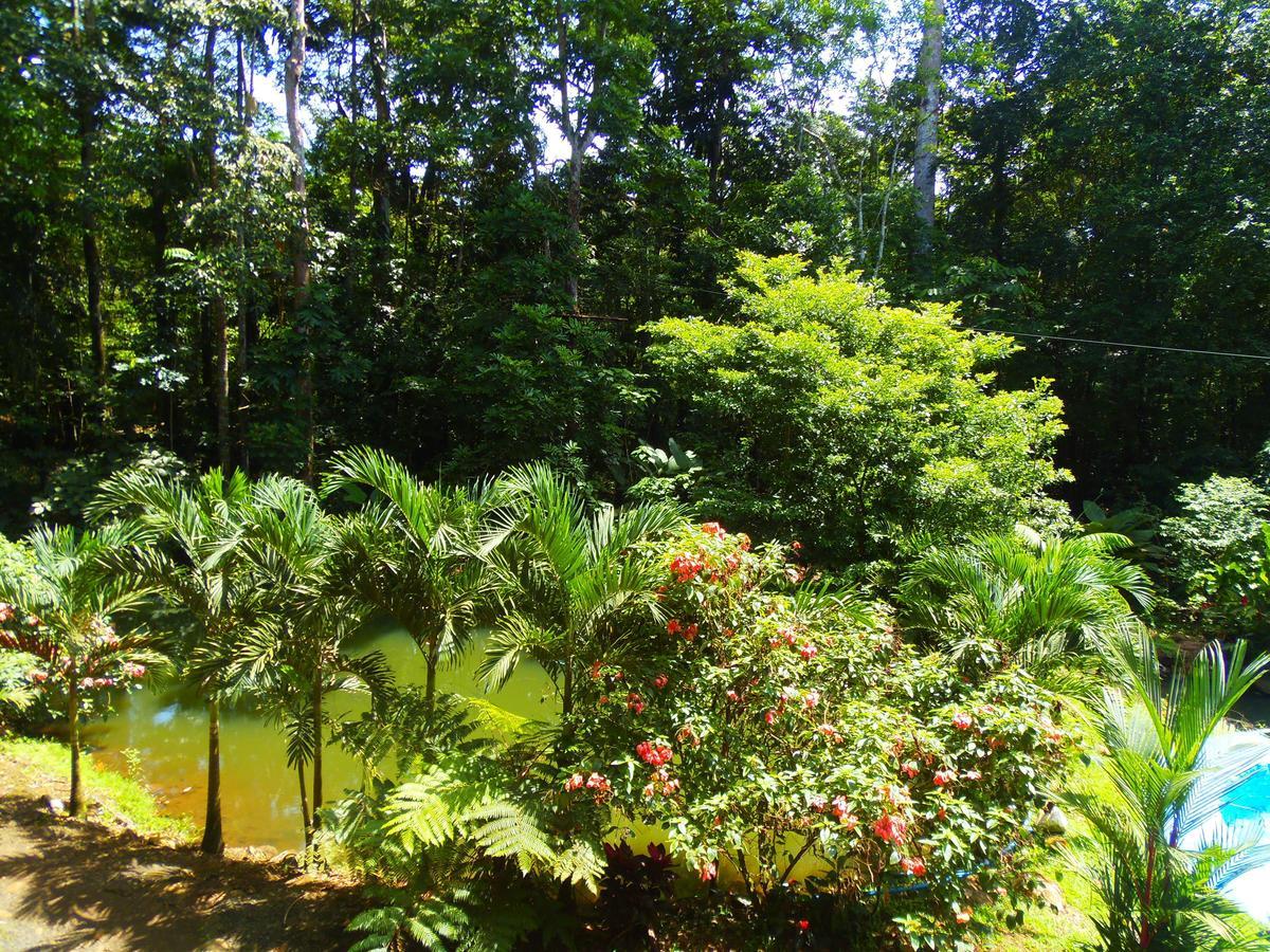 Hotel Valle Azul San Gerardo Bilik gambar