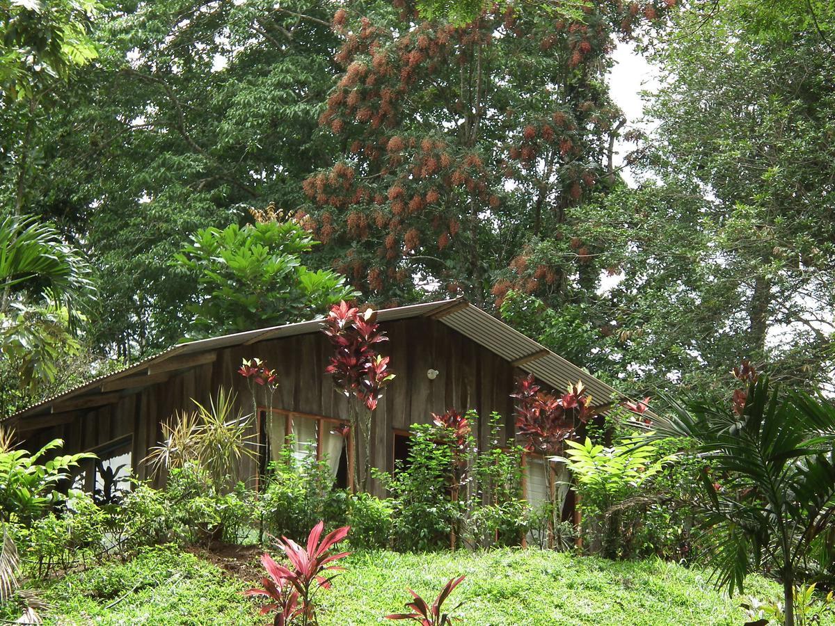 Hotel Valle Azul San Gerardo Bilik gambar
