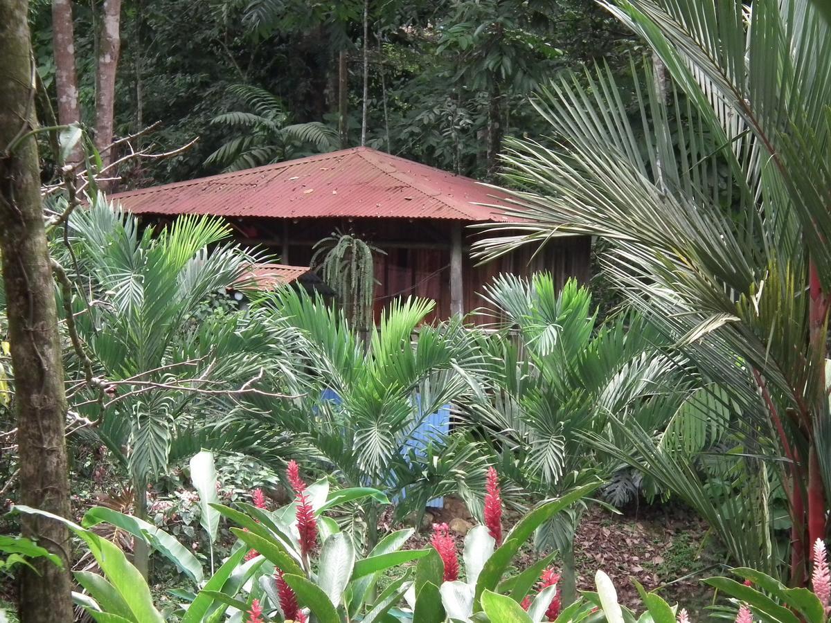 Hotel Valle Azul San Gerardo Bilik gambar