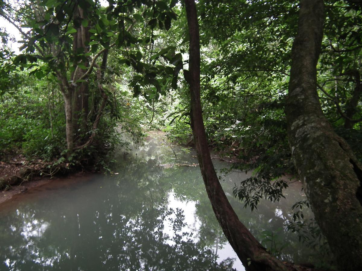Hotel Valle Azul San Gerardo Bilik gambar