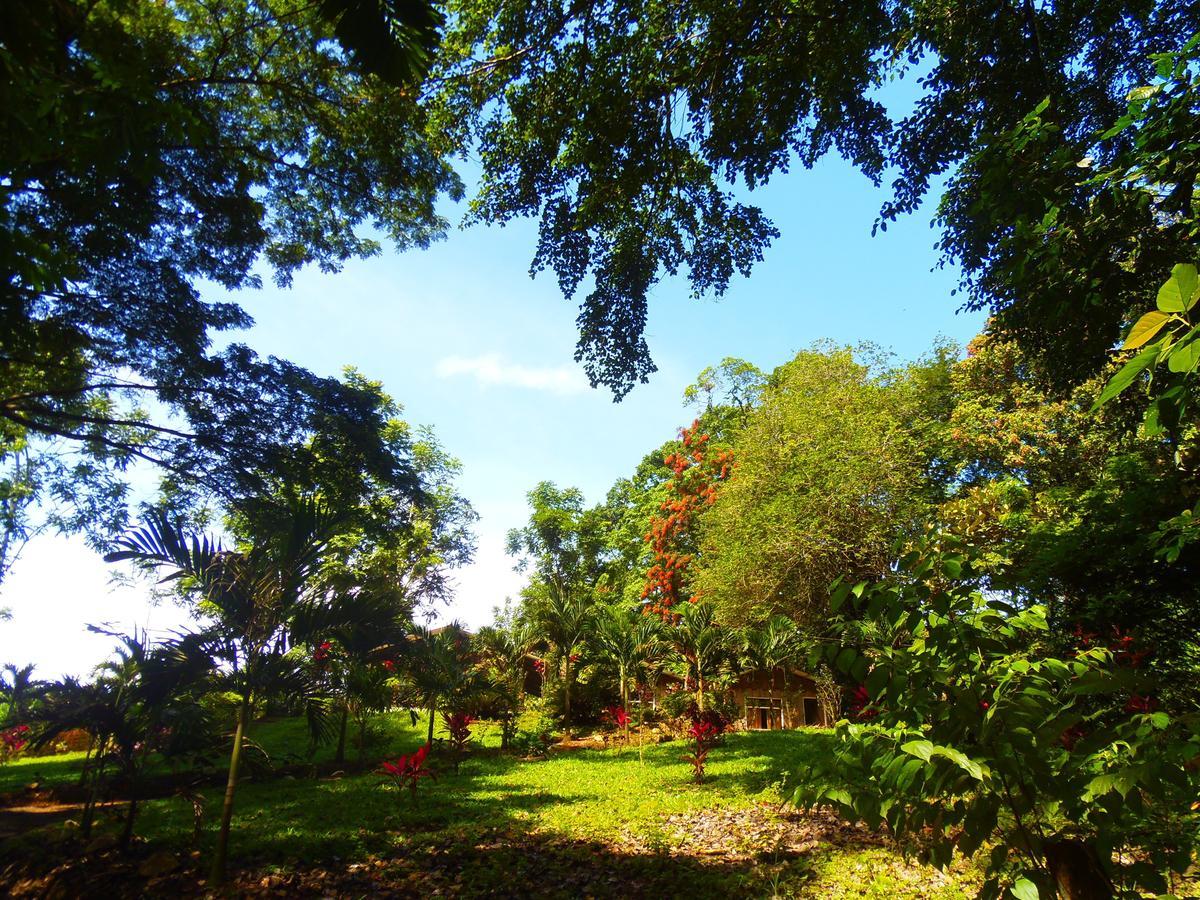 Hotel Valle Azul San Gerardo Bilik gambar
