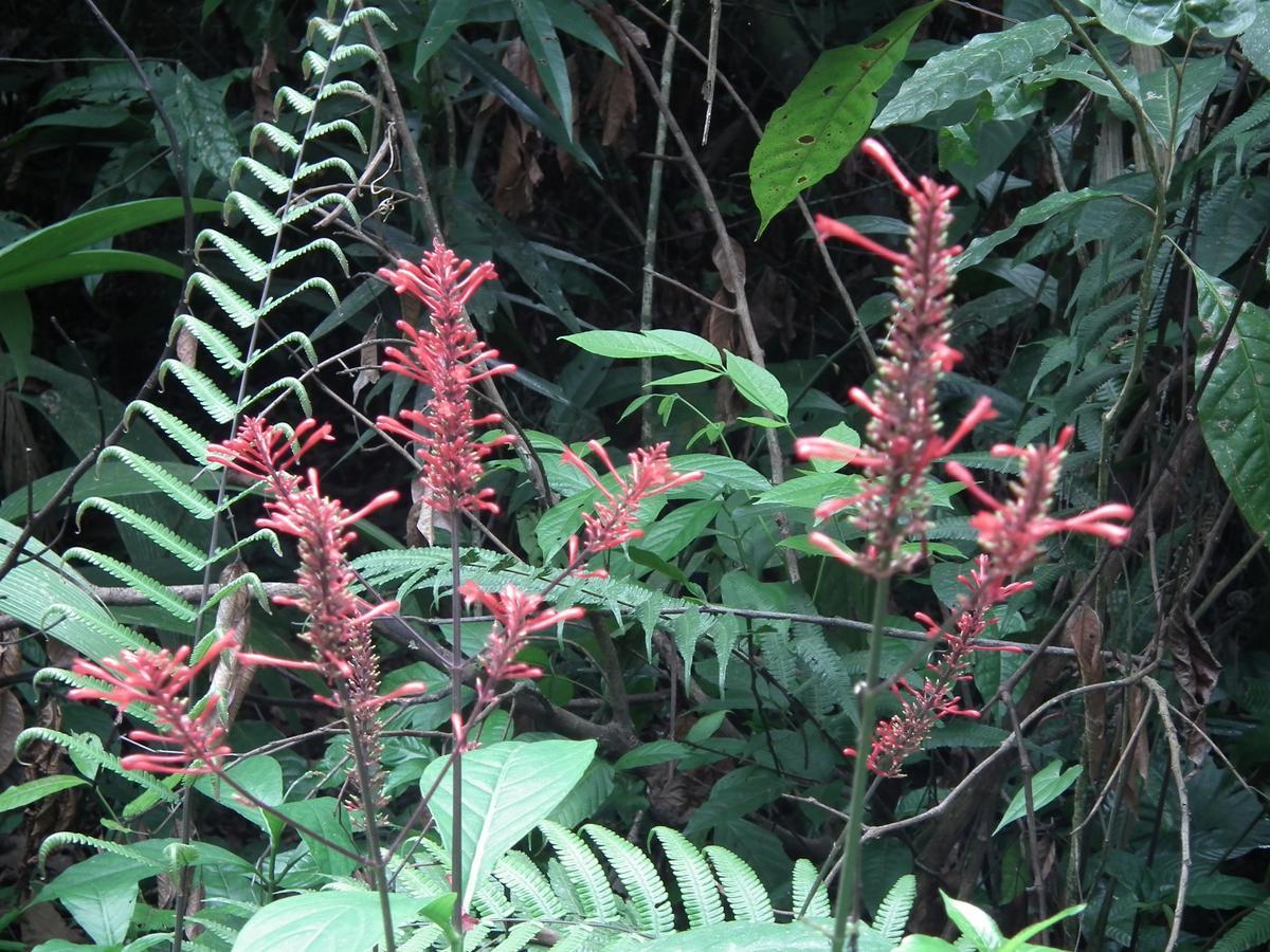 Hotel Valle Azul San Gerardo Bilik gambar