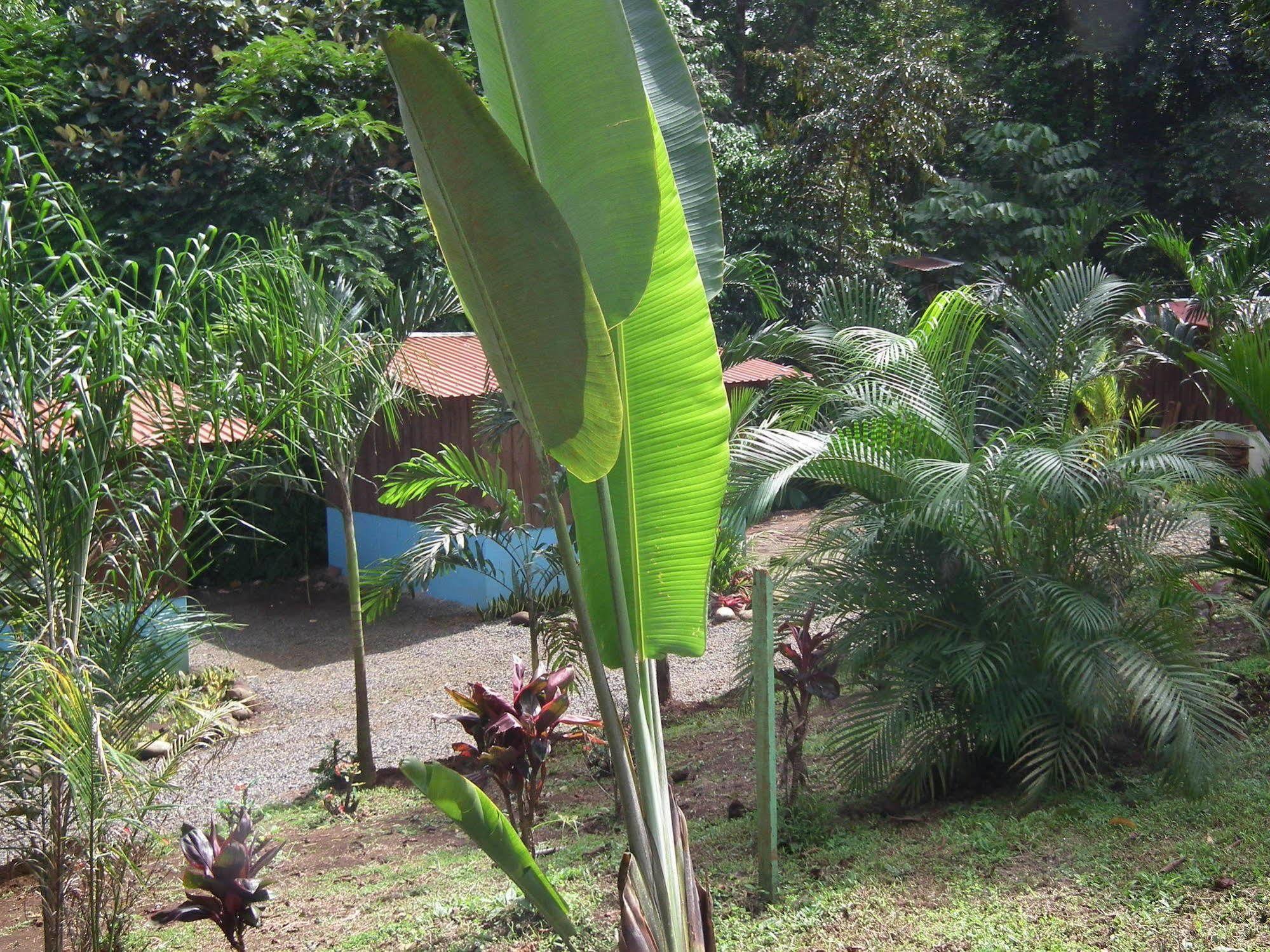 Hotel Valle Azul San Gerardo Luaran gambar