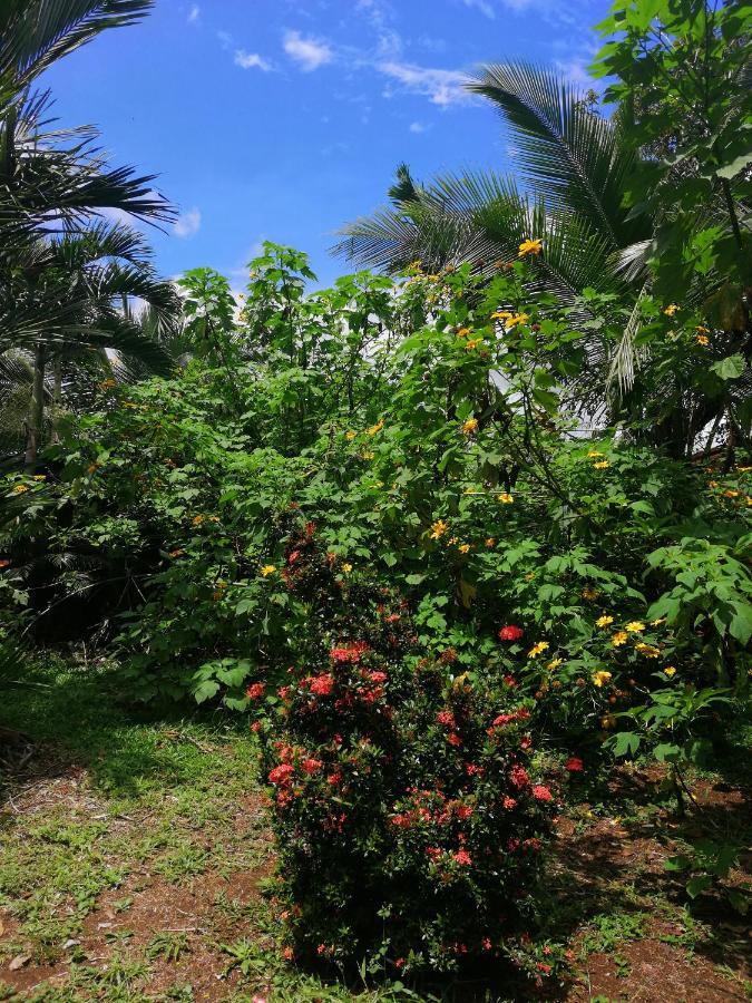 Hotel Valle Azul San Gerardo Luaran gambar