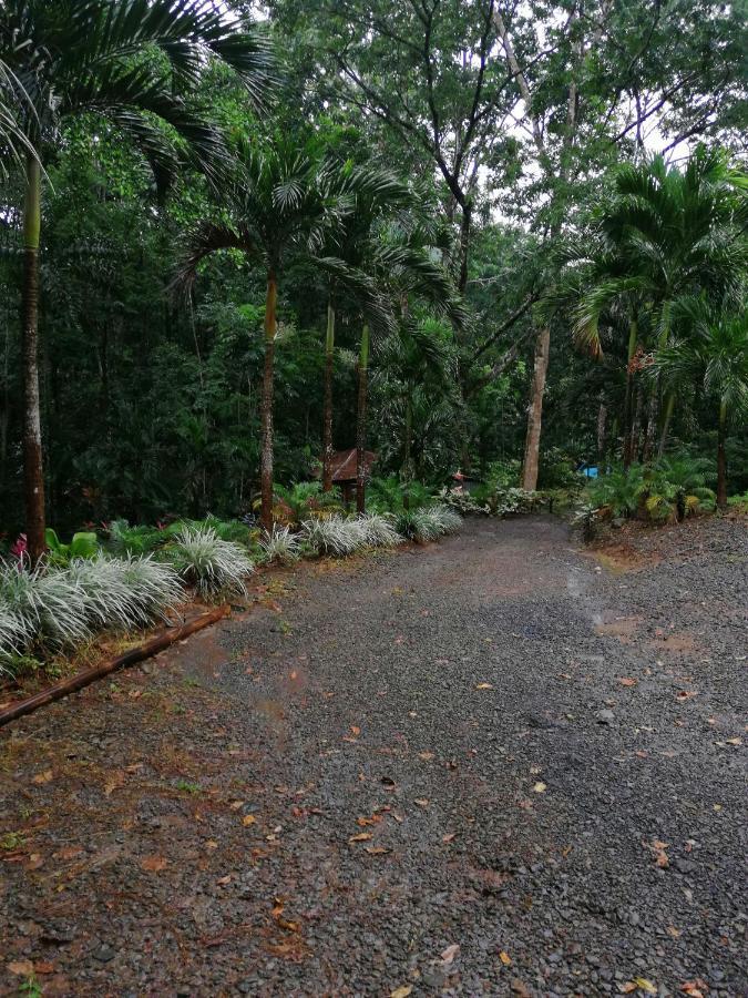 Hotel Valle Azul San Gerardo Luaran gambar
